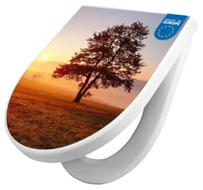 Produktbild von WC Sitz mit Absenkautomatik D Form Motiv Sonnenaufgang [TDW3 12297]