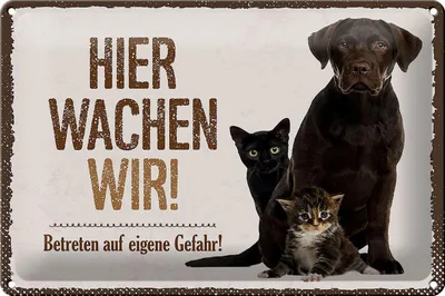Produktbild von Blechschild Hinweis Hier wachen unsere Hunde, 30 x 20 cm, Blechschilder Tiere Achtung