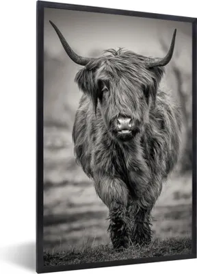 Produktbild von MuchoWow® Gerahmtes Poster Schottischer Highlander - Schwarz und Weiß 60x90 cm - Poster mit Schwarzem Bilderrahmen Wandposter Rahmen Foto Bilder - Kunst