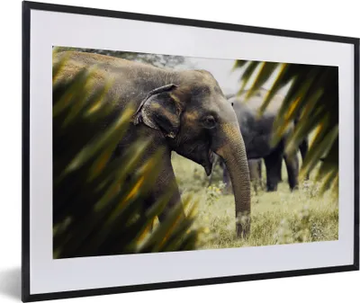 Produktbild von MuchoWow® MuchoWow® Gerahmtes Poster Elefant - Natur - Blätter 60x40 cm - Poster mit zchwarzem Bilderrahmen - Schlafzimmer - Plakat in Rahmen - Drucken