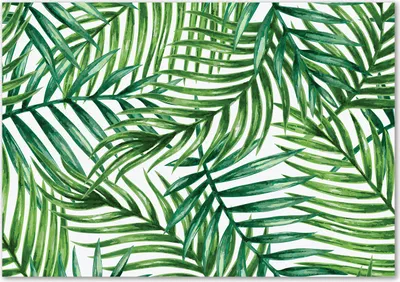 Produktbild von Tulup® Glas-Bild - 100 x 70 - Wandbild aus Glas - Wandkunst - Wandbild hinter gehärtetem Sicherheitsglas - Blumen & Pflanzen - Palmenblätter - Grün