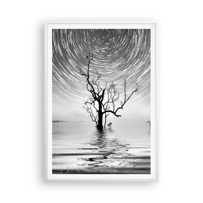 Produktbild von Gerahmtes Poster - Weißer Rahmen - Schwarzweiß Baum See - 70x100 cm - Wand Bild - Wanddeko - Wandbilder - Kunstposter - Wandposter - Bilderrahmen - Bilder - Kunstdruck - Wandbild - P2WPA70x100-4253