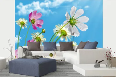 Produktbild von Vlies Fototapete BLÜHENDER HIMMEL 375 x 250 cm (inkl. Kleister) - Vlies Tapete, Wandtapete, Wandbilder - Tapete für Wohnzimmer Schlafzimmer, Büro, Küche - Montagefertig