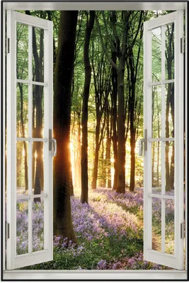 Produktbild von Wallario Wandbild mit Fenster-Illusion: Blaue Hasenglöckchen im Wald mit Sonnenstrahlen, Größe: 61 x 91,5 cm, Poster mit schwarzem Aluminiumrahmen