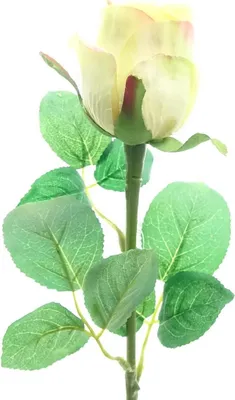 Produktbild von GASPER Rose Gelb 51 cm - Kunstblumen