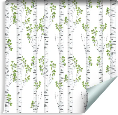 Zdjęcie produktu dla Tapeta W Rolce  Abstrakcyjne DRZEWA Brzozy Efekt 3D Natura Dekor idealny do Salonu