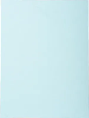 Produktbild von Exacompta Foldyne Forever Aktendeckel Hellblau DIN A4 100 Stück