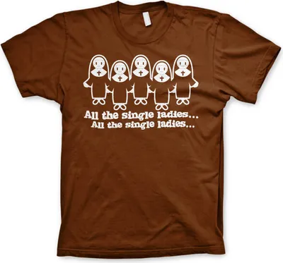 Produktbild von All The Single Ladies... T-Shirt - XX-Large - Brown