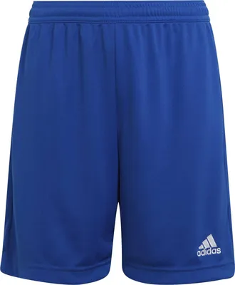 Produktbild von Adidas Sportshorts für Herren in unifarben uni O24-0089785