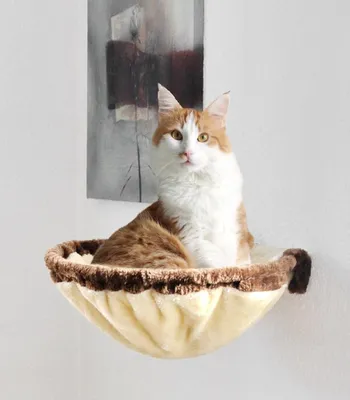 Produktbild von animal-design Wandmulde KUSCHELNEST Wandliege Katzenmulde