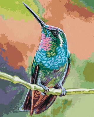 Produktbild von Zuty - Malen nach Zahlen - KOLIBRI AUF EINEM ZWEIG, 40x50 cm, mit Keilrahmen (bereits gespannt)