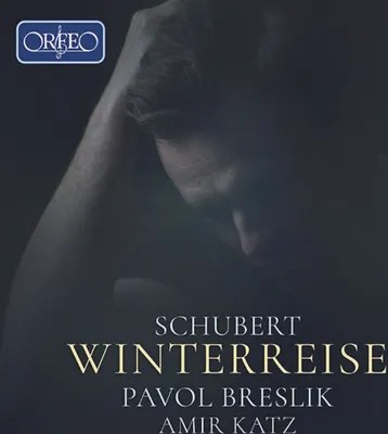 Obrázok produktu pre Winterreise D.911