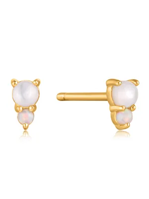 Produktbild von Ania Haie Jewellery E034-02G Ohrringe
