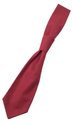 Image de CG Workwear - Cravate « Messina » LT1720 (taille unique) (cerise)
