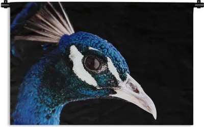 Produktbild von MuchoWow® Wandteppich Wandbehang Pfau - Tier - Blau 120x80 cm Tapisserie Dekoration Wandtuch - Wanddekorationen - Wandtücher