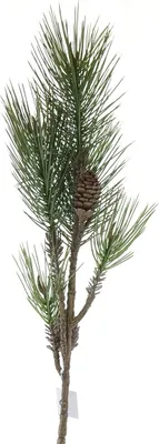 Produktbild von Weihnachtsdeko Kiefernzweig Grün mit Zapfen 85 cm - Kunstpflanzen