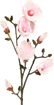 Produktbild von Künstlicher Rosa Magnolienzweig 100cm Deko-Blüten