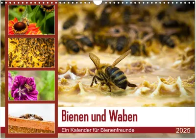 Produktbild von Bienen und Waben (Wandkalender 2025 DIN A3 quer), CALVENDO Monatskalender