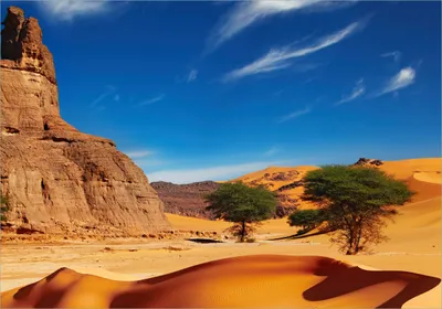 Produktbild von Wallario Poster - In der Wüste Sahara, Kunstdruck Größe: 70 x 100 cm