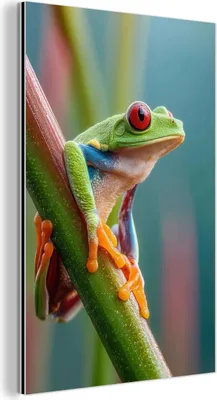 Produktbild von MuchoWow Wanddekoration Metall Metallbild Wandkunst 20x30 cm Bunter Frosch - Grüner Stiel - Alert MuchoWow Aluminium Gemälde - Alu Dibond Bild