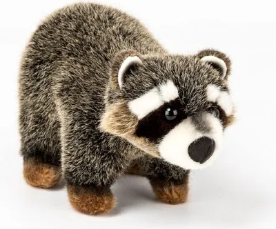 Produktbild von Kösen Waschbär stehend 26 cm Plüschwaschbär