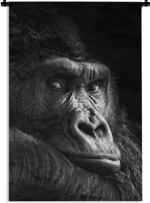 Produktbild von MuchoWow® Wandteppich Wandbehang Gorilla - Affe - Schwarz - Weiß - Porträt 90x135 cm Tapisserie Dekoration Wandtuch - Baumwolle - Wandskulptur
