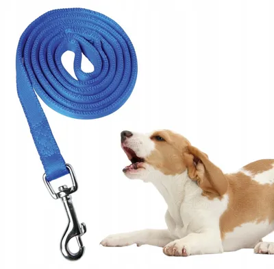 Immagine prodotto di Zolux, guinzaglio imbottito per cani, nastro da 15 mm, lunghezza 120 cm, colore blu