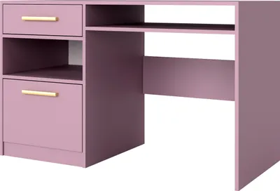 Zdjęcie produktu dla BETTSO Biurko dziecięce Piękne biurko młodzieżowe z 1 szufladą i 1 drzwiczkami Najmodniejsze kolory BALL II Śliwka+Złoto