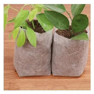 Zdjęcie produktu dla Biodegradowalne worki do sadzonek (100 sztuk)
