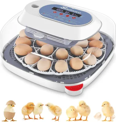 Produktbild von 24 Eier Inkubator, 4 Modi, 360° sichtbarer Eier Inkubator mit automatischer Eierumdrehung und Temperatur und Feuchtigkeitsanzeigefunktion mit Adapter