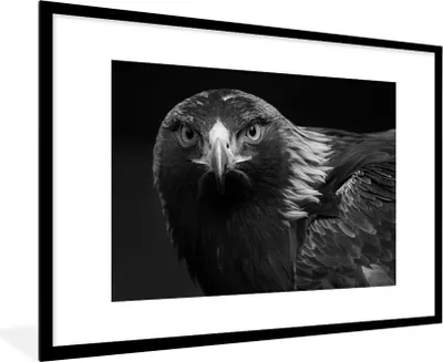 Produktbild von MuchoWow® Gerahmtes Poster Bussard - Vogel - Tiere - Schwarz - Weiß 90x60 cm - Poster mit Schwarzem Bilderrahmen Wandposter Rahmen Foto Bilder - Wanddekoration - Fotos