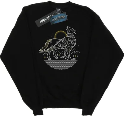 Produktbild von Harry Potter - Sweatshirt für Herren BI27623 (3XL) (Schwarz)