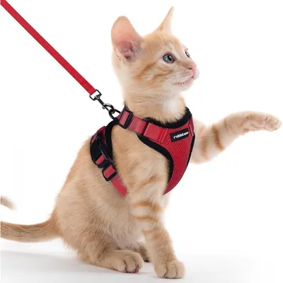 Produktbild von Katzengeschirr mit Leine, Softgeschirr, Ausbruchsicher, Verstellbar, Katzenweste, Rot, XXS