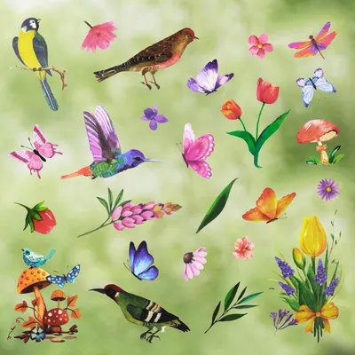 Produktbild von Fensterbilder Vögel Kolibri Bunt Selbstklebend Anti-Kollision 8 Seiten