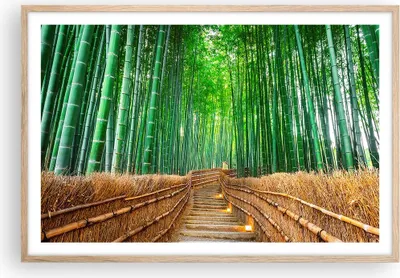 Produktbild von Gerahmtes Poster - Rahmen in heller Eiche - Bambus Pflanze - 91,5x61 cm - Wand Bild - Wanddeko - Wandbilder - Kunstposter - Wandposter - Bilderrahmen - Bilder - Kunstdruck - Wandbild - P2NAA91x61-3979
