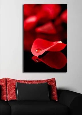 Produktbild von Opviq, 4570DACT- SHN1284, Bunt, Leinwandbilder, 45 x 70 cm, 100% Wildleder -Leinwand