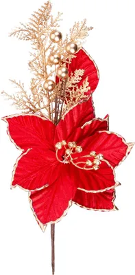 Produktbild von WEIHNACHTSBLUME, rot mit Goldrand, 31 cm