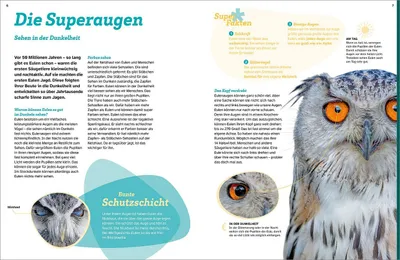 Produktbild von WAS IST WAS Eulen. Jäger mit Supersinnen