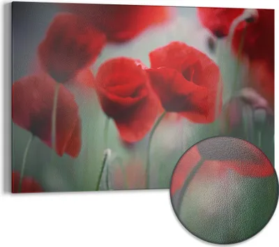 Produktbild von DEQORI Magnettafel Metall 60x40 cm 'Mohnblütenzauber' Whiteboard Pinnwand Magnetboard Büro