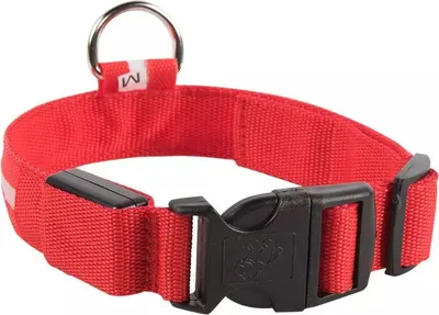 Obrázek produktu pro LED obojek pro psy Mesh / Red M