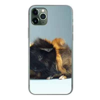 Produktbild von MuchoWow® Handyhülle Schutzhülle Hülle für iPhone 11 Pro Max Zwei kleine Meerschweinchen Silikon Softcase Handy Hülle - Schutz