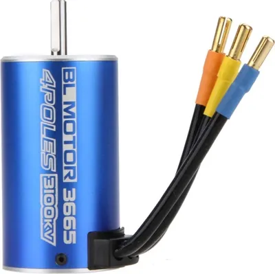 Immagine prodotto di 3665 4 poli 3100KV motore brushless per RC auto barca (blu)