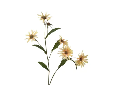 Produktbild von 2474U Kunststielblume Margerite Gelb, Künstliche Blume, 71 cm