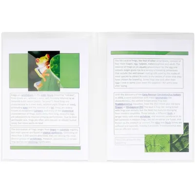 Immagine prodotto di Exacompta, fogli trasparenti per presentazioni, serie PP, spessore 200µ, confezione da 10 pezzi, formati DIN A3 e A4