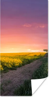 Produktbild von MuchoWow® Poster Blumen - Straße - Himmel - Gelb - Lila - Sonnenuntergang - Natur 80x160 cm - Kinderzimmer