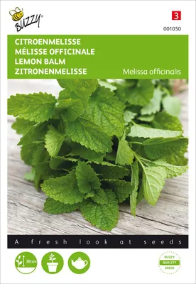 Produktbild von Zitronenmelisse | Melissensamen von Buzzy Seeds