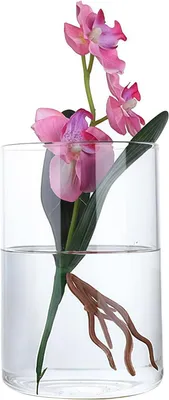 Imagen del producto de Jarrón cilíndrico de vidrio, transparente, 10 cm de altura, 8,5 cm de diámetro, ideal para flores y velas
