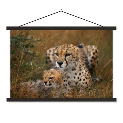 Produktbild von MuchoWow® Textilposter Geparden sitzen zusammen 90x60 cm mit schwarzem Rahmen - Aufhängungssatz
