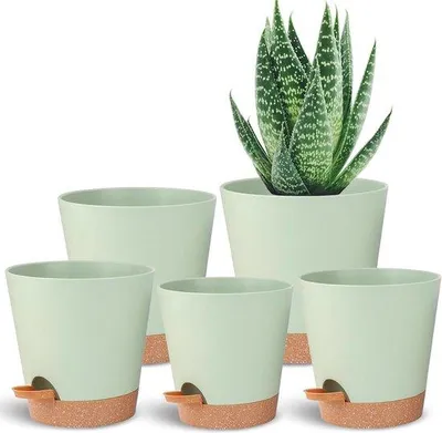Image de Pots pour plantes auto-arrosants et décontractés - lot de 5 - plastique blanc - pour toutes les plantes d'intérieur - succulentes et autres