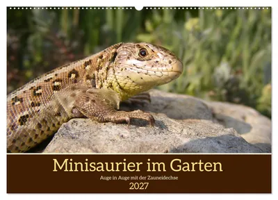 Produktbild von Minisaurier im Garten (Wandkalender 2027 DIN A2 quer), CALVENDO Monatskalender